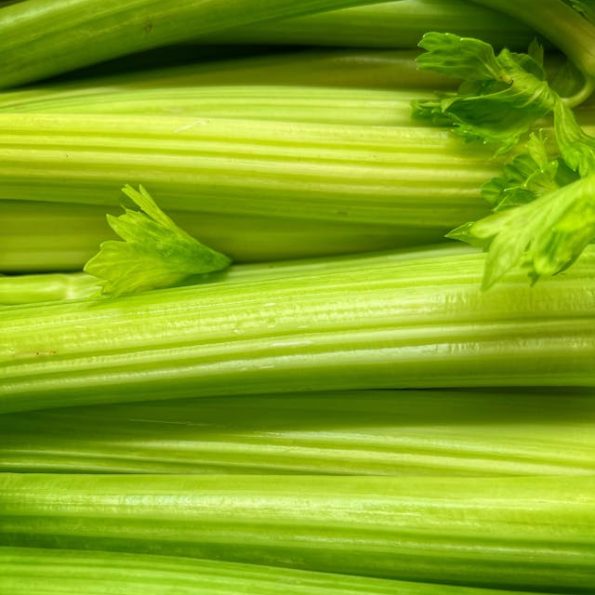 celery smoothie for weight loss