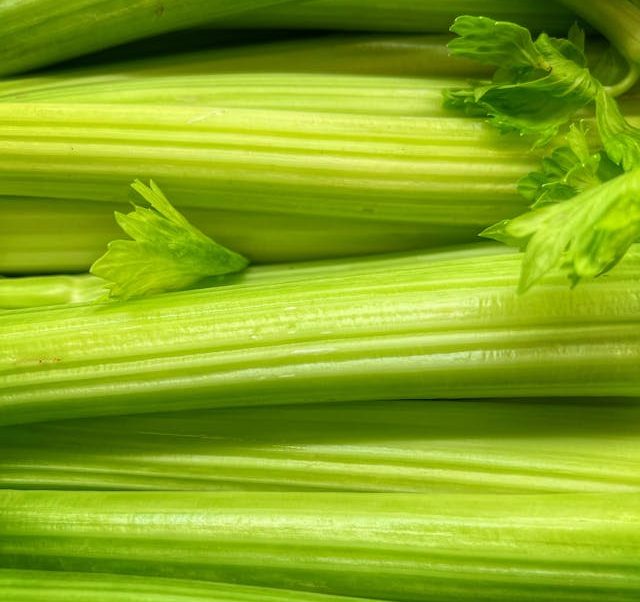 celery smoothie for weight loss