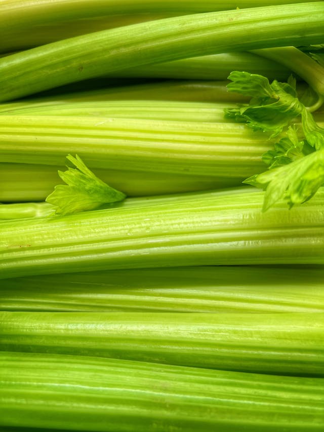 celery smoothie for weight loss