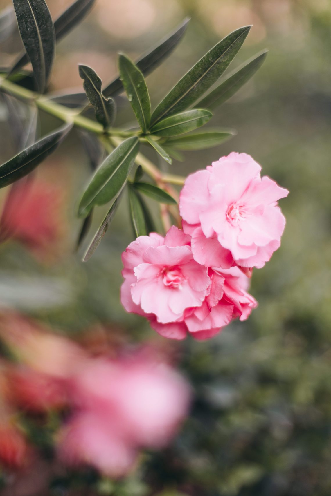 15 Slow living hobbies to help you fall in love with life