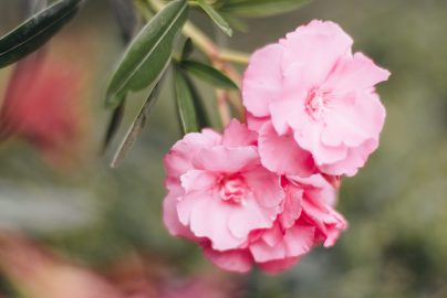15 Slow living hobbies to help you fall in love with life