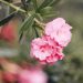 15 Slow living hobbies to help you fall in love with life