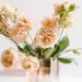 Evening Activities for Adults At Home That are Screen Free