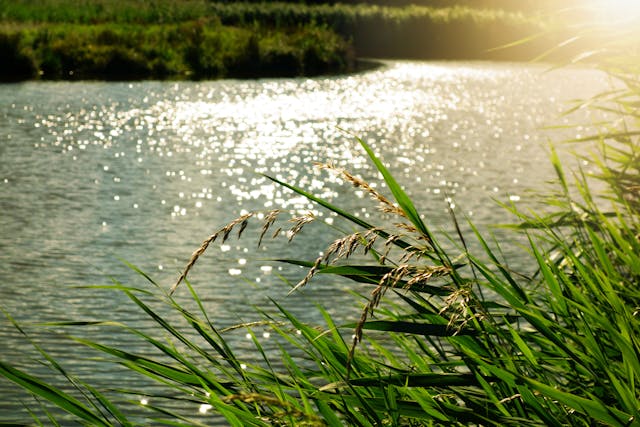 Summer Date Night Ideas