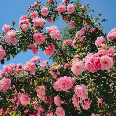 signs you may be too nice