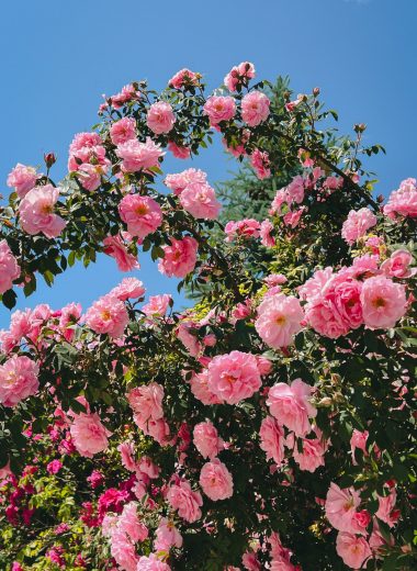 signs you may be too nice