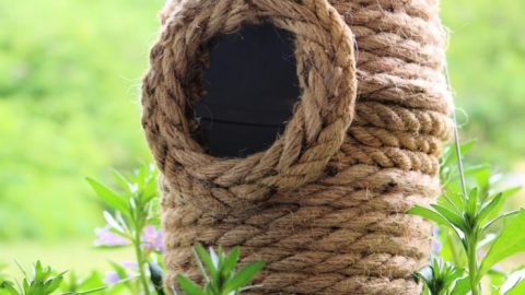 Image for Beehive DIY Birdhouse From Upcycled Container