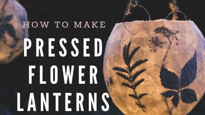 Image for How to make beautiful pressed flower lanterns - Easy DIY