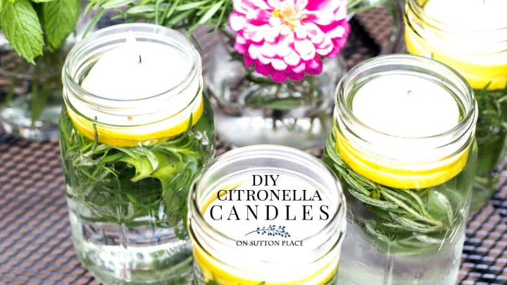 Image for DIY Citronella Candles with Herbs