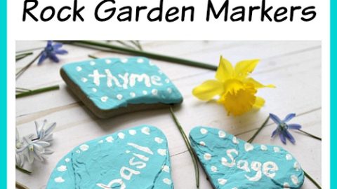 Image for DIY Hand Painted Rock Garden Markers